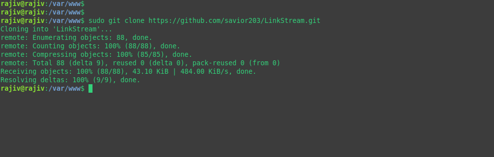 cloning the project from the github