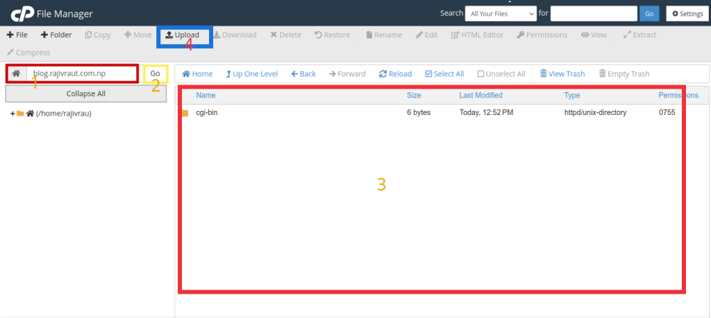 Complete Guide: Effortlessly Deploy a Node.js Application in cPanel 8 Root directory of domain in file manager