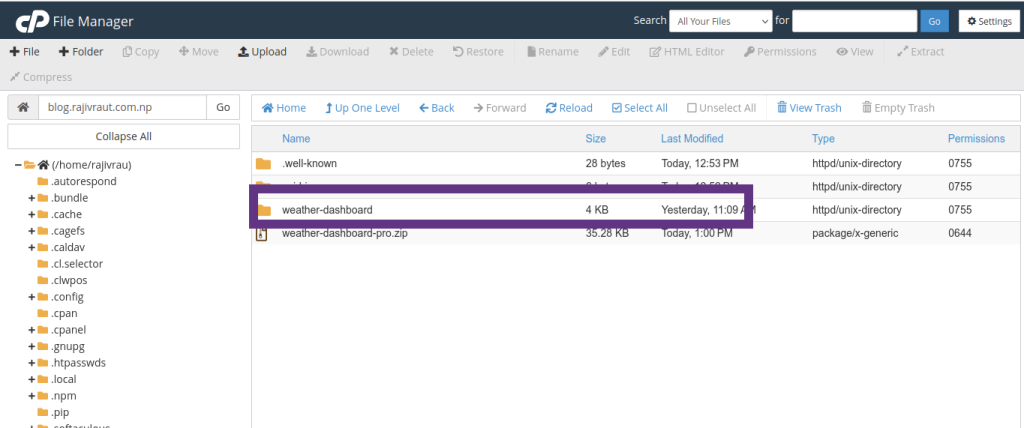Complete Guide: Effortlessly Deploy a Node.js Application in cPanel 11 extracted directory of Node.js project zip file