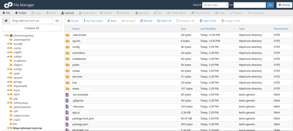 Complete Guide: Effortlessly Deploy a Node.js Application in cPanel 12 Node.js project files in file manager