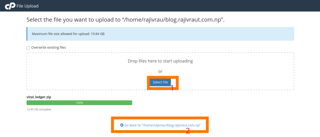 Complete Guide: Seamlessly Deploy a Python Application in cPanel 9 file upload in cPanel
