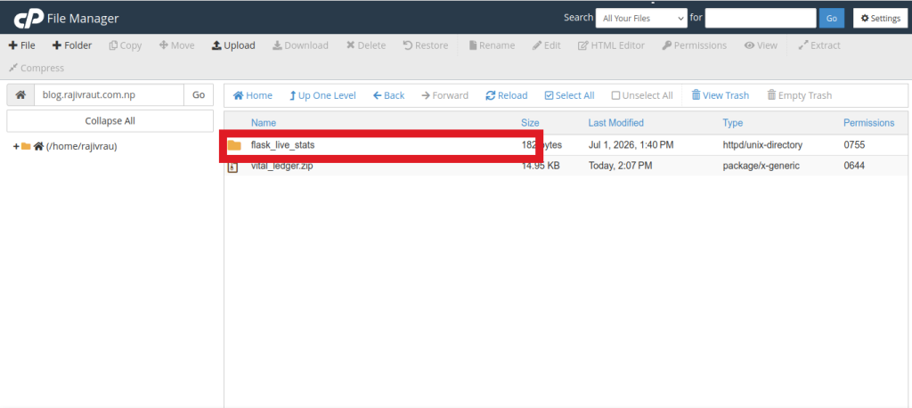 Complete Guide: Seamlessly Deploy a Python Application in cPanel 11 extracted python project directory