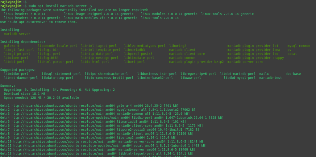 Successfully Install WordPress on Ubuntu 26.04 with Nginx 9 Installing the MariaDB server