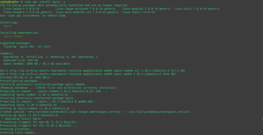 Successfully Install WordPress on Ubuntu 26.04 with Nginx 5 Installing Nginx Web Server