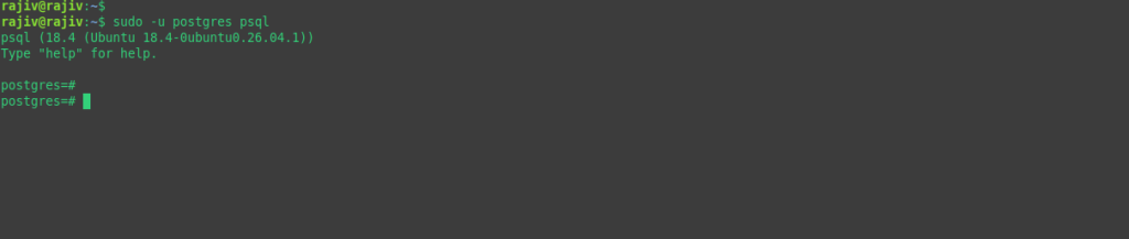 Opening the PostgreSQL interactive shell