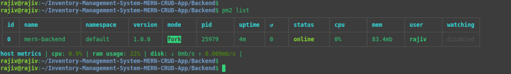 Seamlessly Deploy a MERN Application on Ubuntu with Nginx, PM2, MongoDB, and SSL 28 Listing the pm2 process