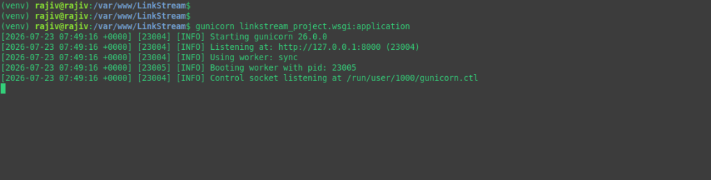 testing whether the Gunicorn can serve the app or not