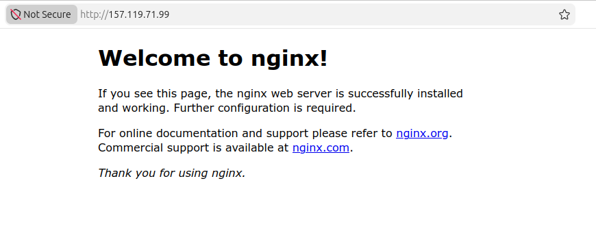 Seamlessly Deploy a MERN Application on Ubuntu with Nginx, PM2, MongoDB, and SSL 20 verifying whether nginx is working or not